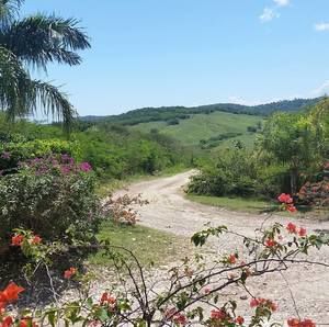 Meet your Posher, Sally